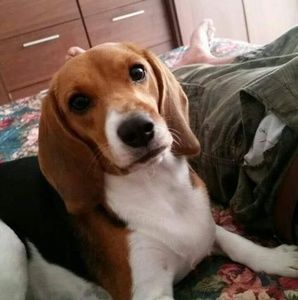 Meet your Posher, Nidia